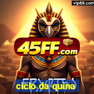 ciclo da quina